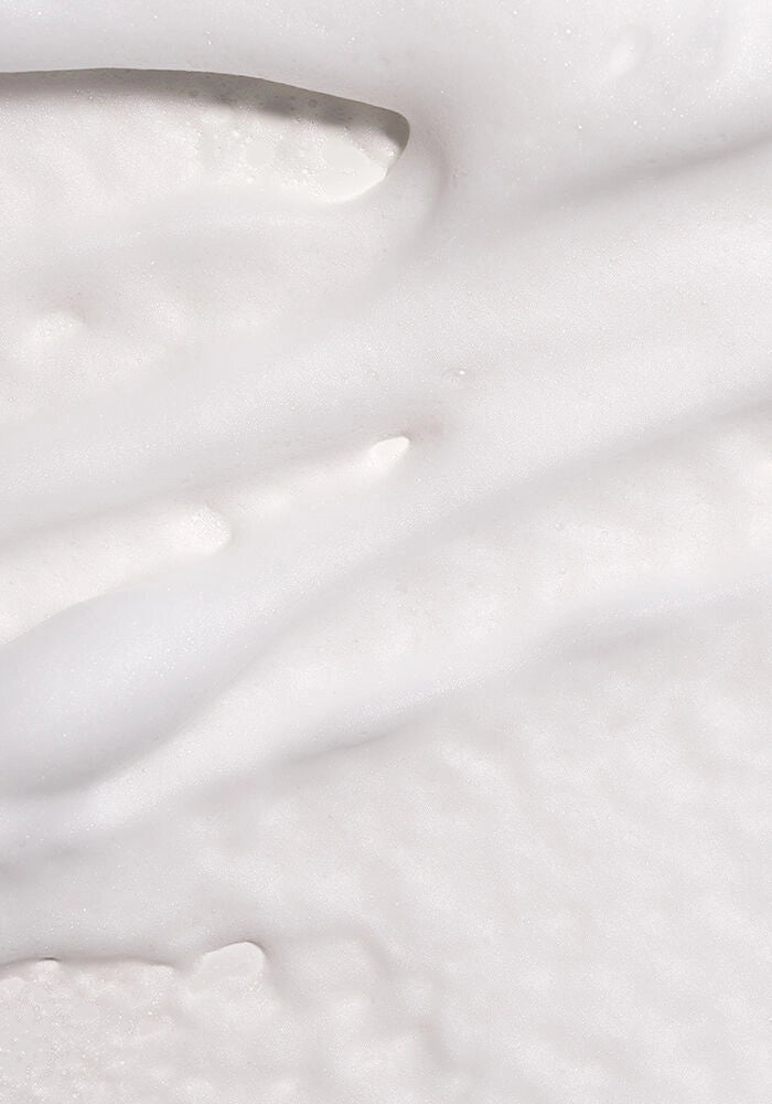 L’anza Design Foam