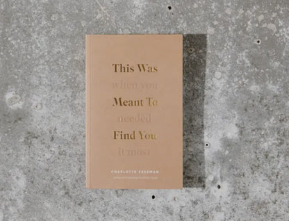 This Was Meant to Find You Book